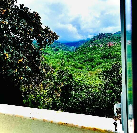 شقة غرفة واحدة ذات إطلالة, Five Star