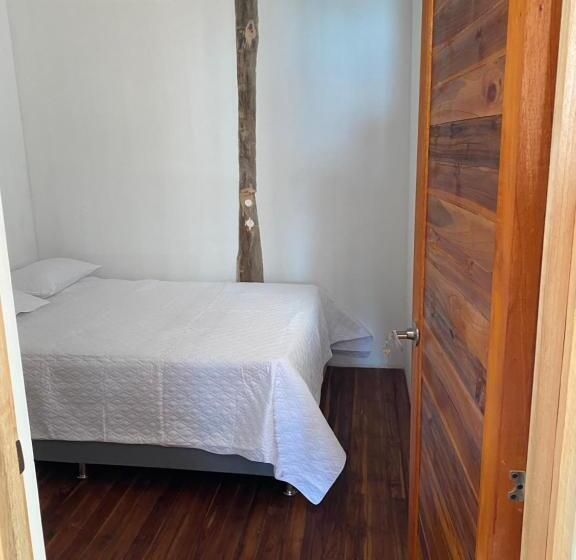 ファミリールーム, Roma Beach