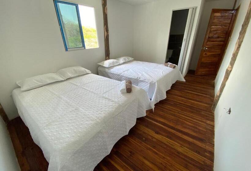 スタンダードルーム, Roma Beach