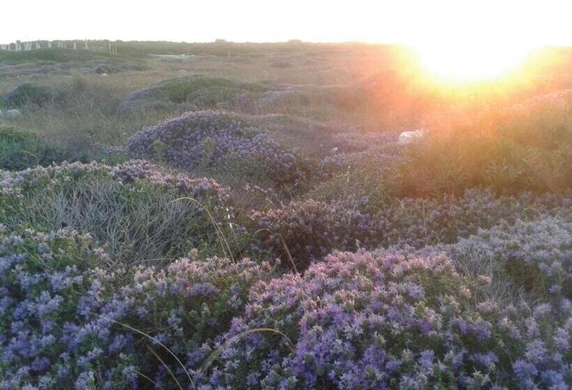 Студия Стандарт Вид на Море, Calanca Apulian Residence