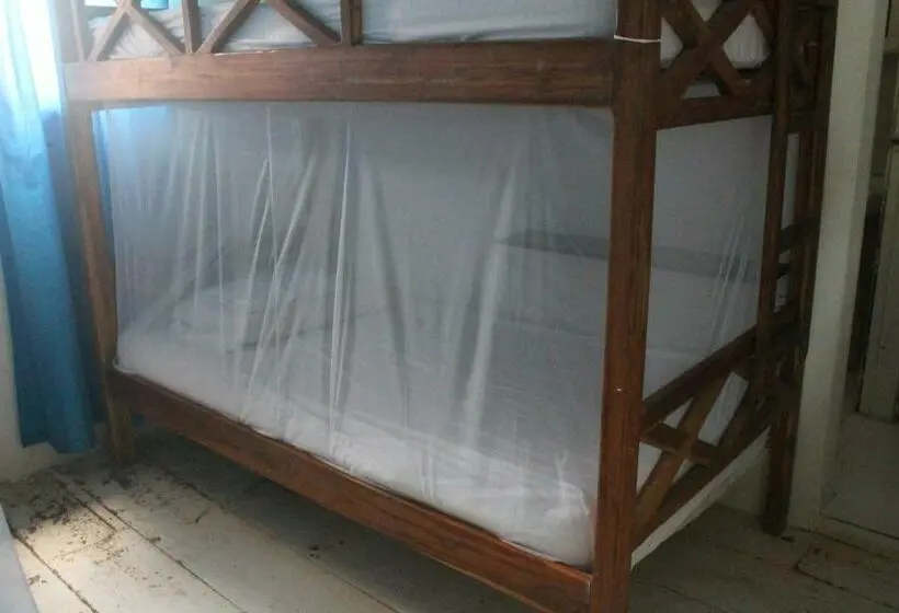 ルームシェアのワンベッド, Taida Experiences Hostel