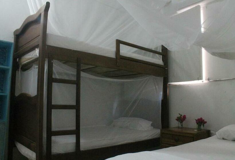 מיטה בחדר משותף, Taida Experiences Hostel