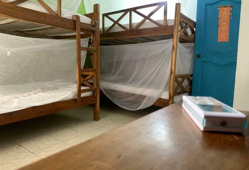 מיטה בחדר משותף, Taida Experiences Hostel