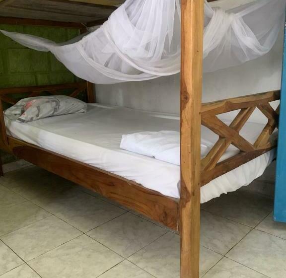 מיטה בחדר משותף, Taida Experiences Hostel