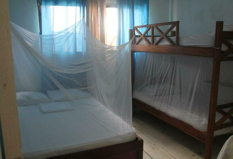 חדר סטנדרט לארבעה, Taida Experiences Hostel