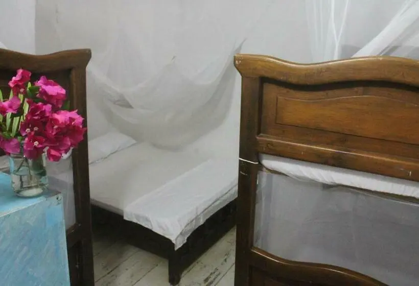 ファミリールーム, Taida Experiences Hostel