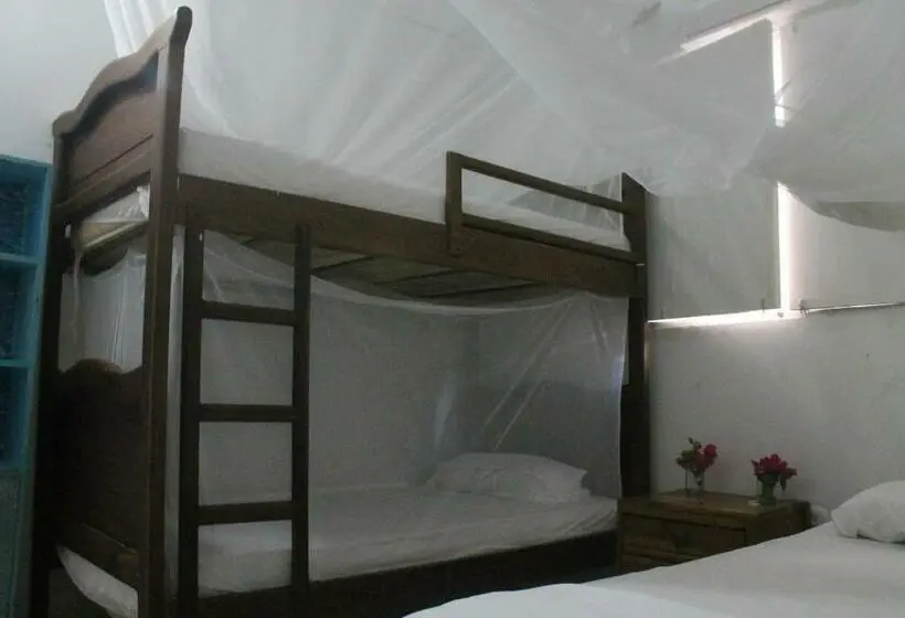 ファミリールーム, Taida Experiences Hostel