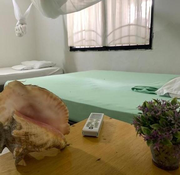 스탠다드 트리플 룸, Taida Experiences Hostel