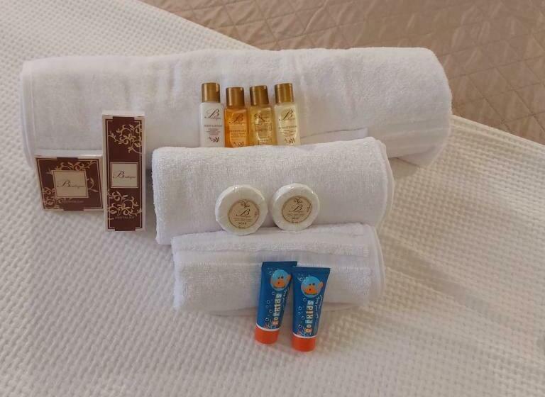 غرفة قياسية لذوى الاحتياجات الخاصة, Aurum Affittacamere