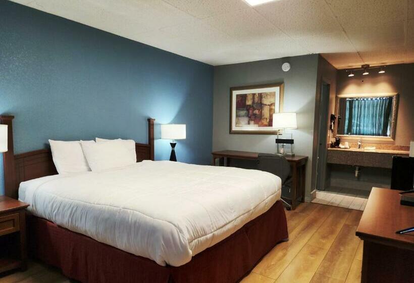 غرفة ديلوكس سرير كينج, Executive Inn