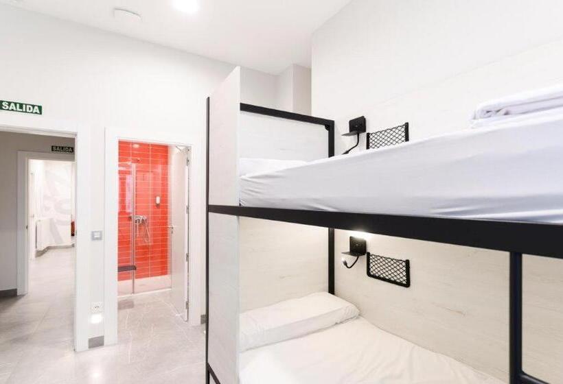 4인용 스탠다드 룸, Logunes