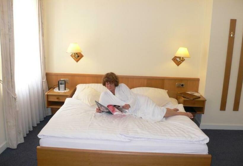 スタンダードルーム, Binz