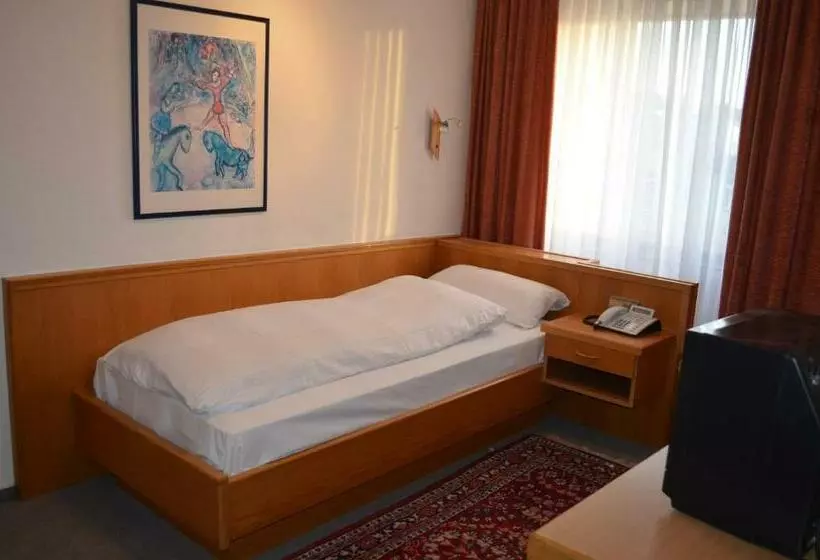 Standard Yhden Hengen Huone, Drei Schweizer