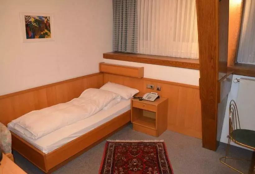 Standard Yhden Hengen Huone, Drei Schweizer