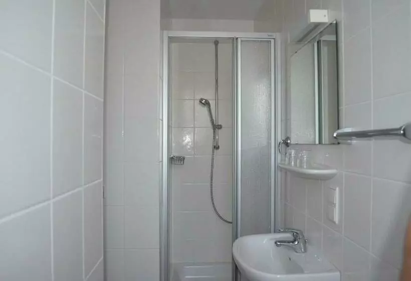 Standard Yhden Hengen Huone, Drei Schweizer