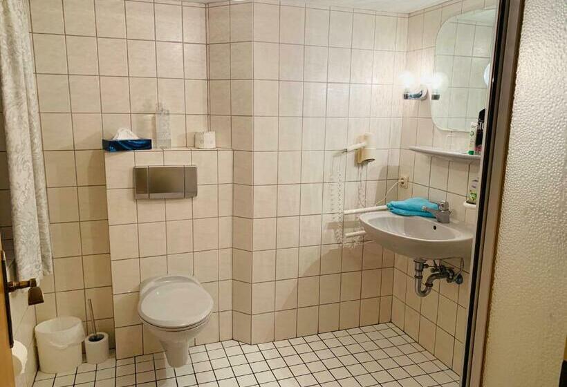 Номер Стандарт Индивидуальный, Oberledinger Hof