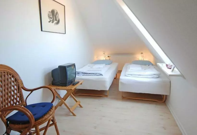 اتاق استاندارد با سرویس بهداشتی مشترک, Skagen Room