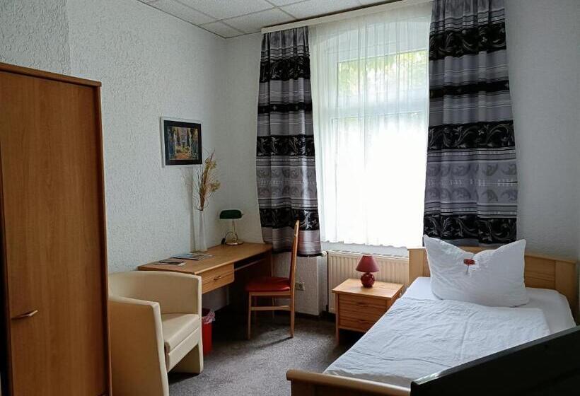 标准单人间, Zum Goldenen Löwen