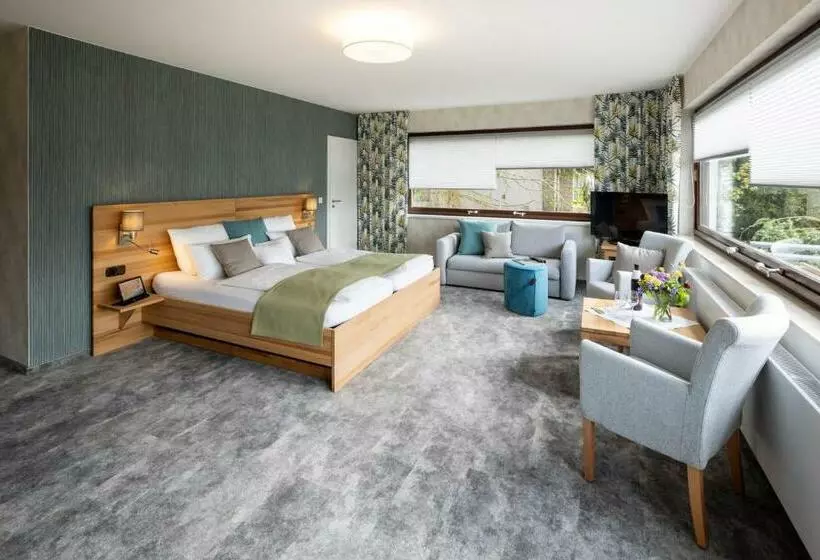 オーシャンビュースタンダードルームバルコニー付き, Plusnaturhotel Direkt Am Ederseeufer Waldhotel Wiesemann Und Ferienapartments