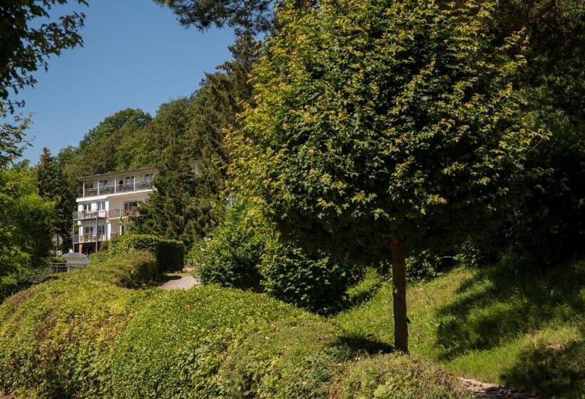 Номер Стандарт Вид на Море с Балконом, Plusnaturhotel Direkt Am Ederseeufer Waldhotel Wiesemann Und Ferienapartments