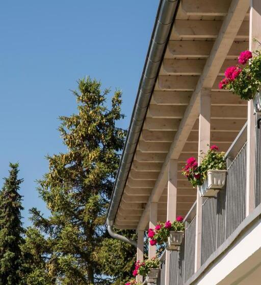 Номер Стандарт Вид на Море с Балконом, Plusnaturhotel Direkt Am Ederseeufer Waldhotel Wiesemann Und Ferienapartments