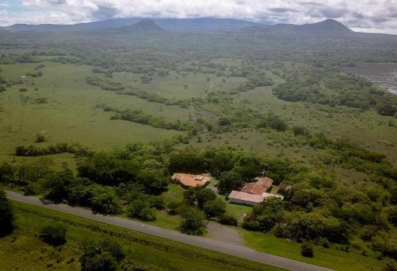 غرفة قياسية, El Cocobolo Food&rest Room 1 Bed And Breakfast Wifi Ac Pkg Gratis