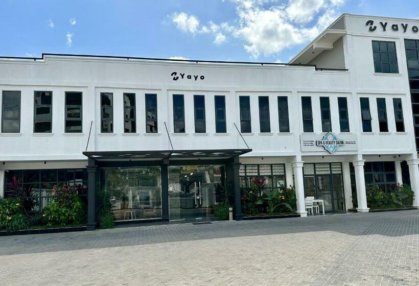 اتاق اکونومی, Yayo Masaki