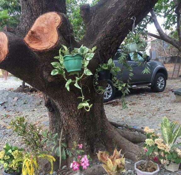 エコノミールーム, Teddys Bed & Breakfast Lodge