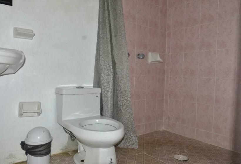 スタンダードルーム, Bacaanda