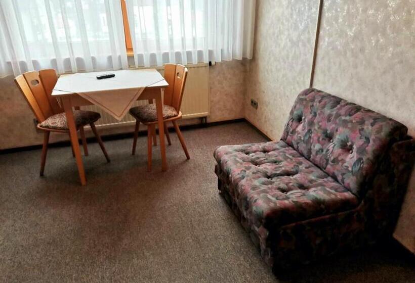 스탠다드 싱글 룸, Gasthaus Pflug