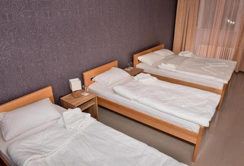 اتاق استاندارد سه نفره, Timok