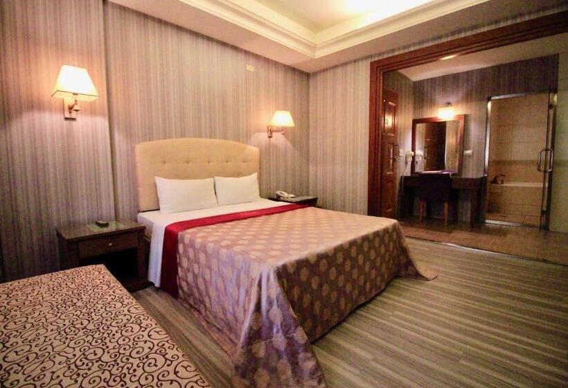 اتاق استاندارد, Spring City Motel