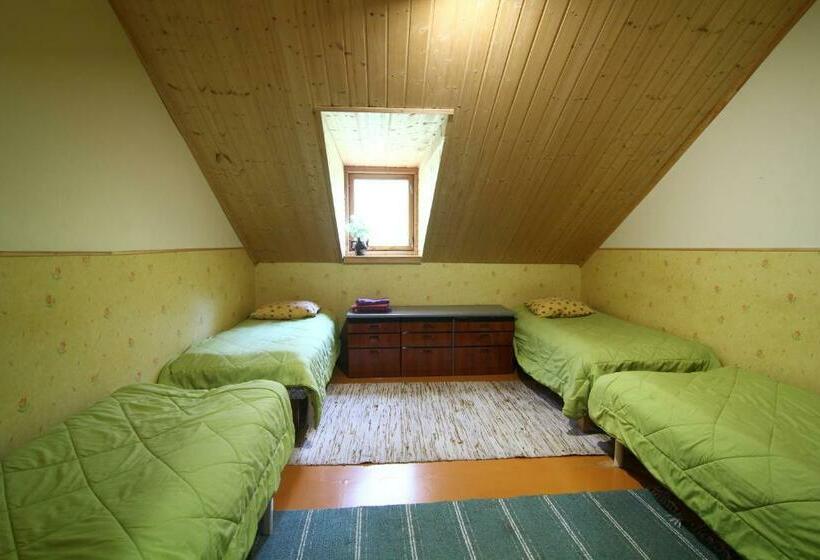 スタンダード4人部屋, Naissaare Guesthouse Külalistemaja