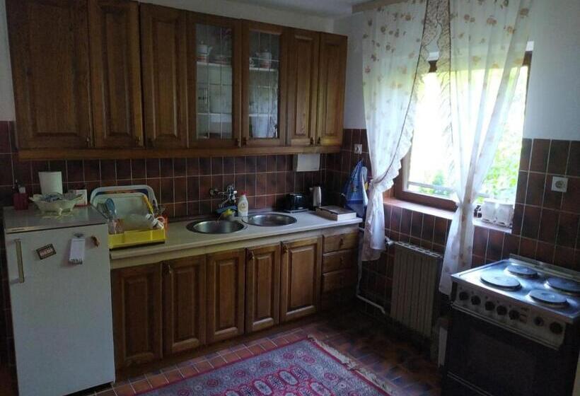 آپارتمان دوبلکس 1 خوابه, Pjer Sobe Niska Banja