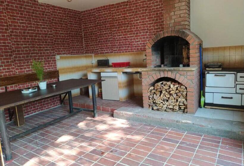 آپارتمان دوبلکس 1 خوابه, Pjer Sobe Niska Banja