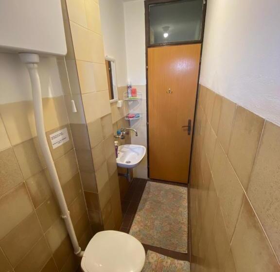 آپارتمان دوبلکس 1 خوابه, Pjer Sobe Niska Banja