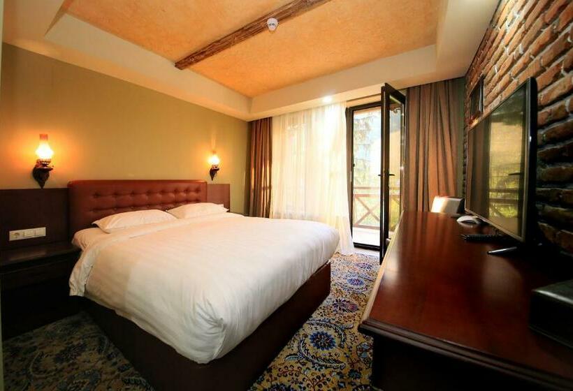 اتاق استاندارد, Borjomi Palace Health & Spa Center