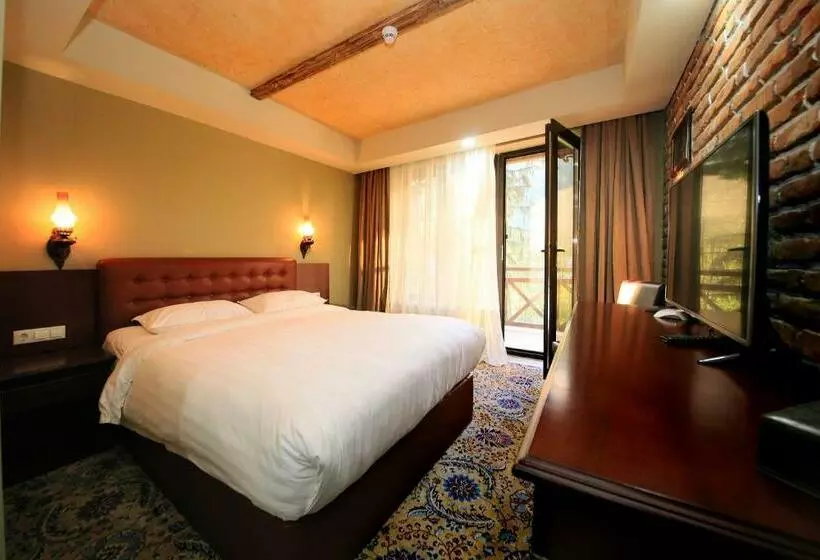 اتاق استاندارد, Borjomi Palace Health & Spa Center