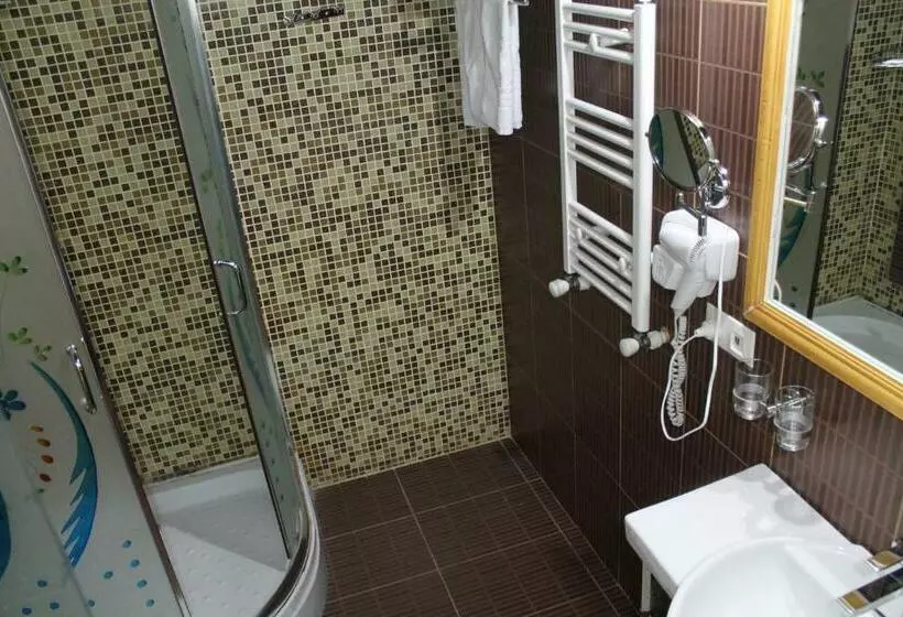 اتاق استاندارد, Borjomi Palace Health & Spa Center