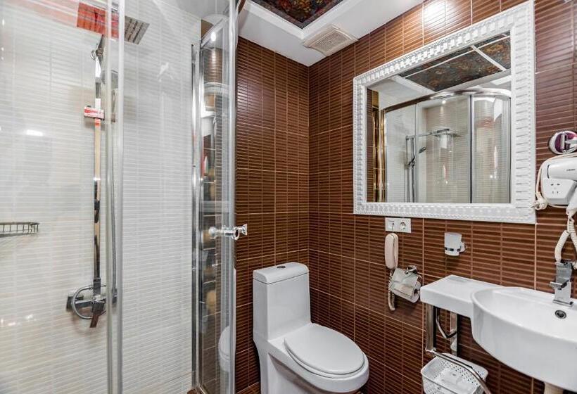 اتاق استاندارد یک نفره, Borjomi Palace Health & Spa Center