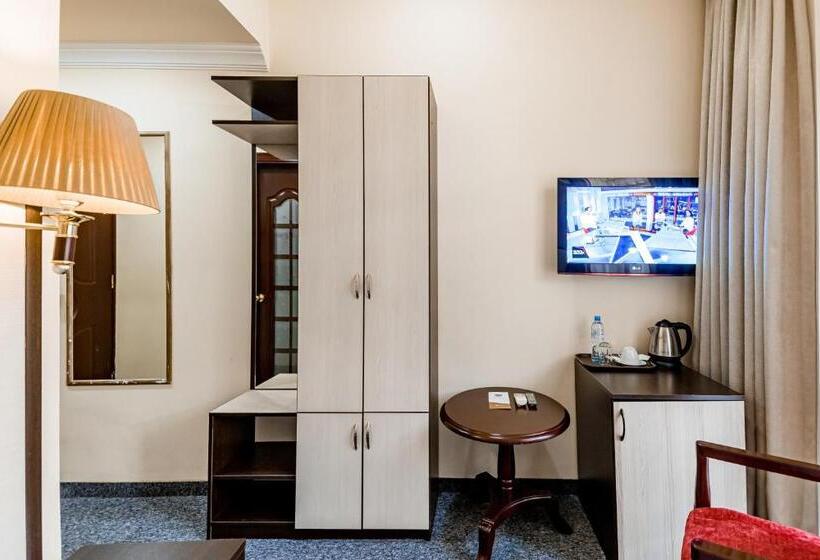 اتاق استاندارد یک نفره, Borjomi Palace Health & Spa Center