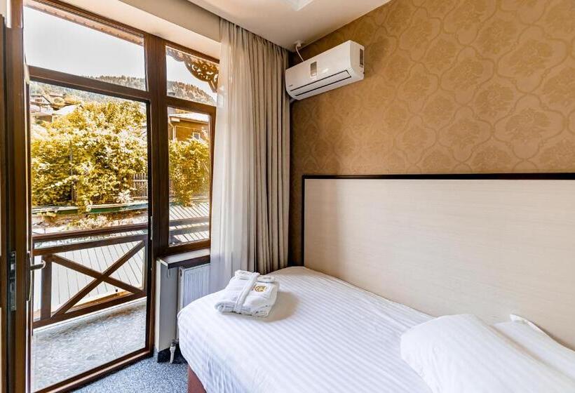 اتاق استاندارد یک نفره, Borjomi Palace Health & Spa Center