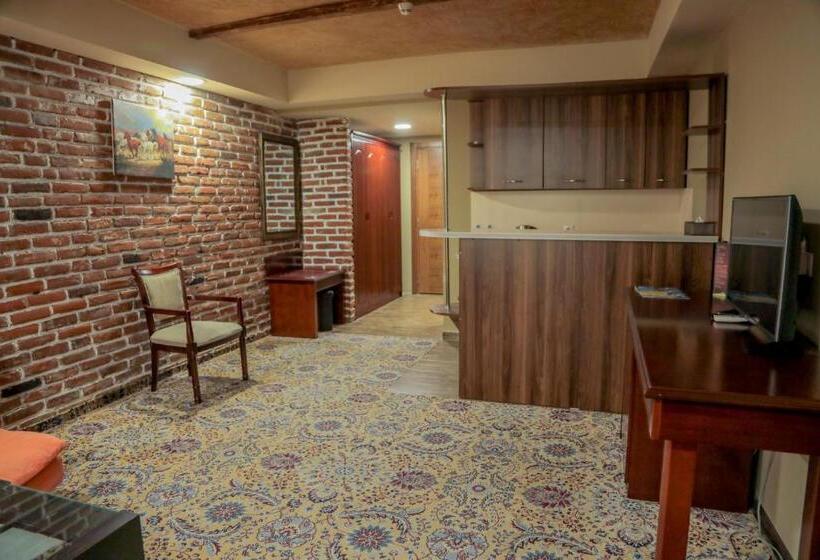 اتاق کلاسیک خانوادگی, Borjomi Palace Health & Spa Center