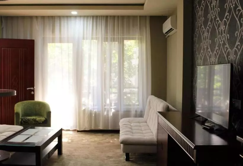 اتاق کلاسیک خانوادگی, Borjomi Palace Health & Spa Center