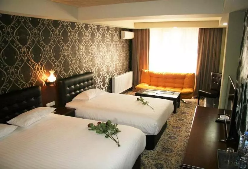 اتاق کلاسیک سه تخته, Borjomi Palace Health & Spa Center