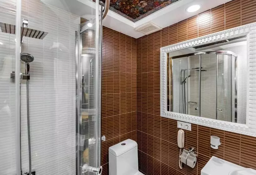 اتاق استاندارد, Borjomi Palace Health & Spa Center