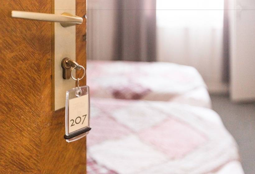 舒适型房间, Brit Hotel Terminus