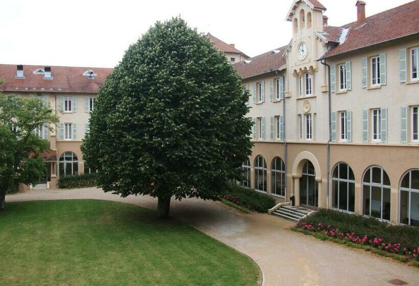 스탠다드 싱글 룸, Domaine Lyon Saint Joseph