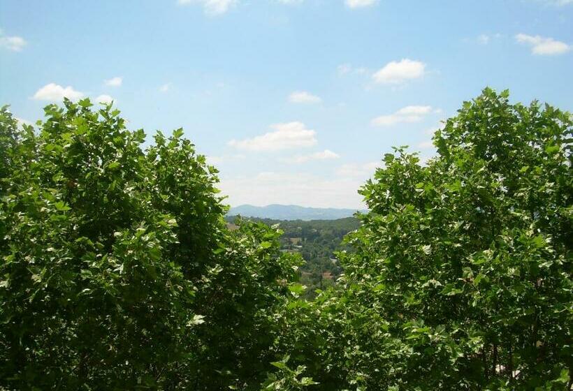 חדר סטנדרט יחיד, Domaine Lyon Saint Joseph