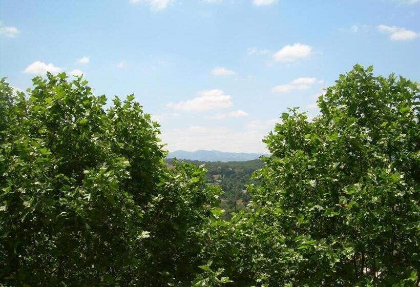 חדר סטנדרט, Domaine Lyon Saint Joseph